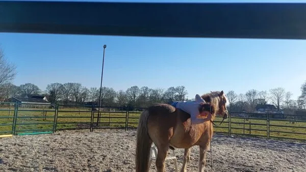 Bij toeval een trauma opgelost